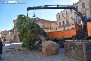 El PP rechaza traer más abetos del Pirineo catalán