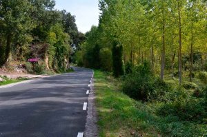 Fallece motorista por caída en carretera de Burgos