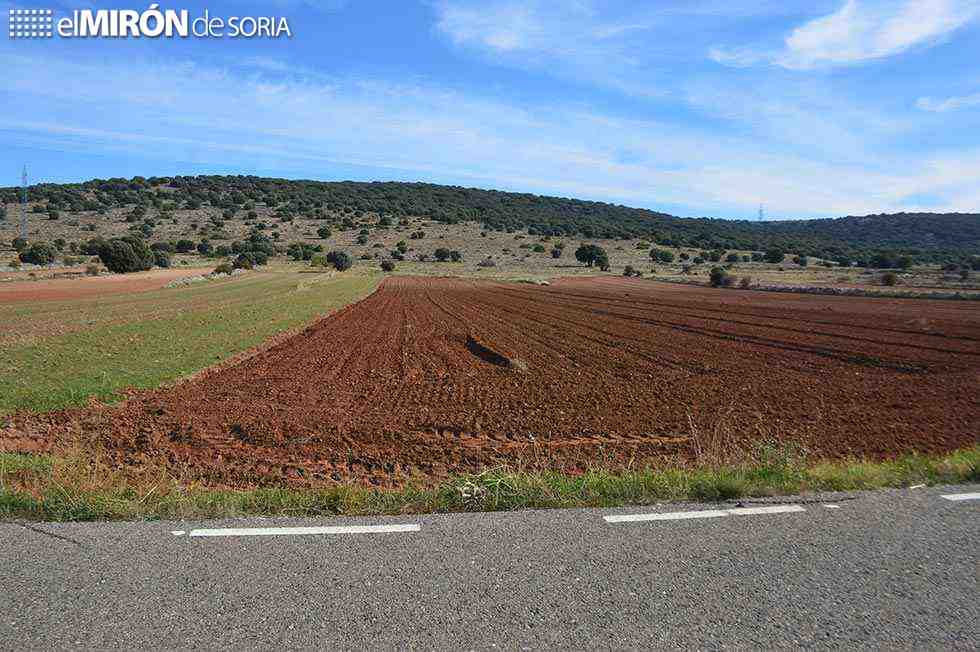 Manifestación para evitar nueva colonización de España vaciada