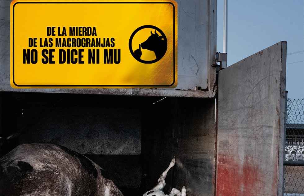 Hacendera se moviliza contra ganadería industrial Hacendera se moviliza contra ganadería industrial