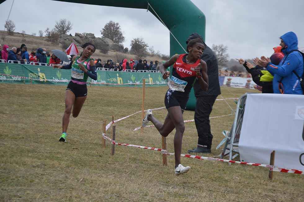 XXVII Cross Internacional de Soria - fotos