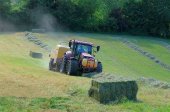 El sector agrario, con más accidentes laborales graves