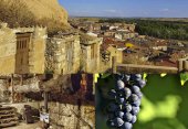 Viaje a la vendimia en la ribera del Duero