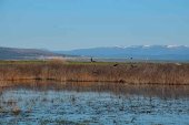 Rutas para observar y conocer las aves