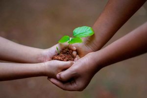 Un foro para difundir potencial de bioeconomía