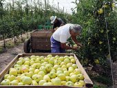 La finca "La Rasa" se suma al I Foro de Bioeconomía