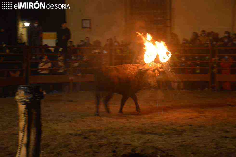 Asociación animalista pide a la Junta que no autorice el toro jubilo