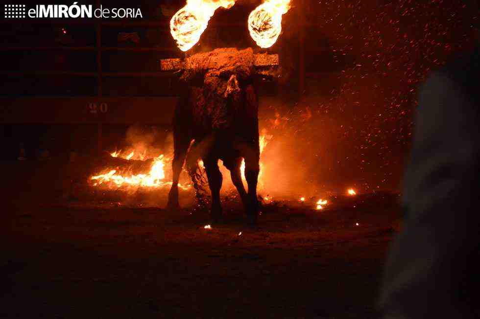 PACMA presenta demanda contra celebración de toro jubilo