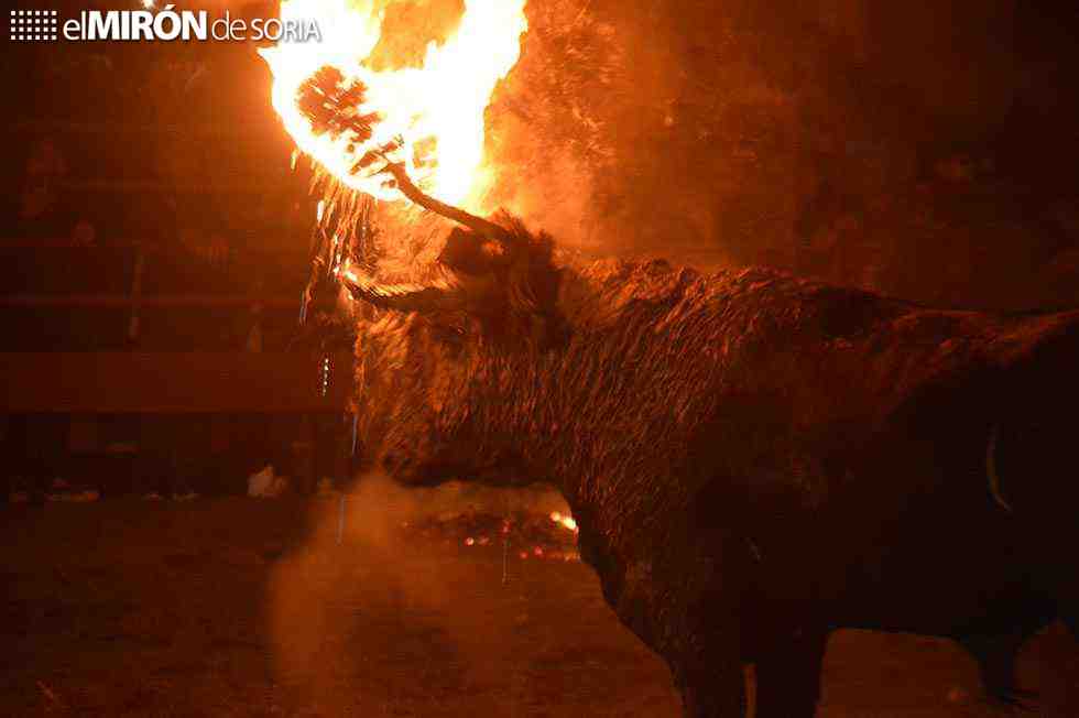 PACMA vuelve a manifestarse en Medinaceli para pedir abolición de toro jubilo