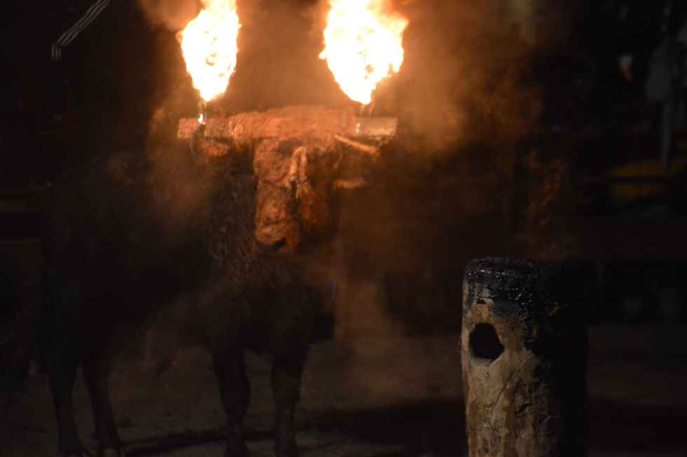 El toro jubilo vuelve a iluminar Medinaceli