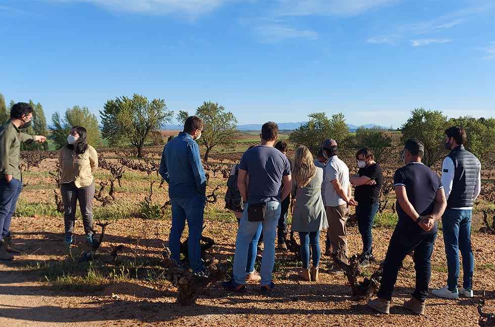 Punto y final a Jornadas de Viticultura y Enología Ecológica