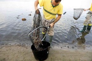 Concentración para defender el Mar Menor