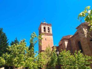 La concatedral urge más atención