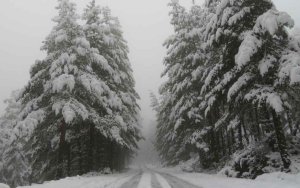 Activada fase de alerta por nevadas