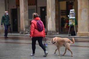 Campaña para sensibilizar a propietarios de mascotas