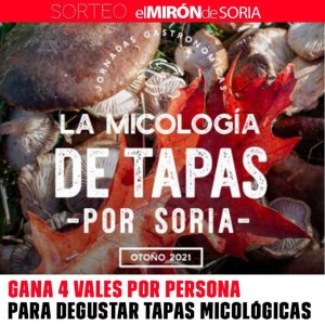 Gana 4 vales para degustar tapas micológicas