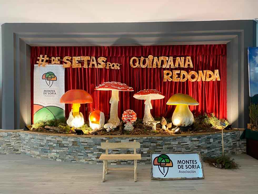 Éxito de la iniciativa micológica itinerante 2021