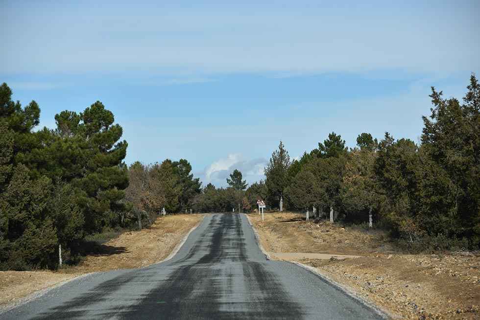 Entre pinares, de Bayubas - fotos