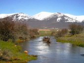 Hacendera alega para proteger agua de Araviana