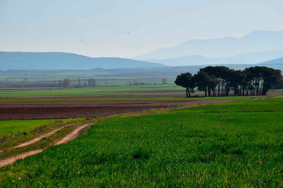 Cien razones para disfrutar de Soria en 2022