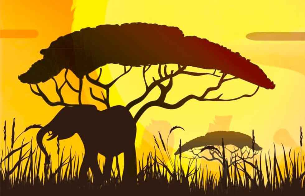 Más entradas para el musical del Rey León Más entradas para el musical del Rey León