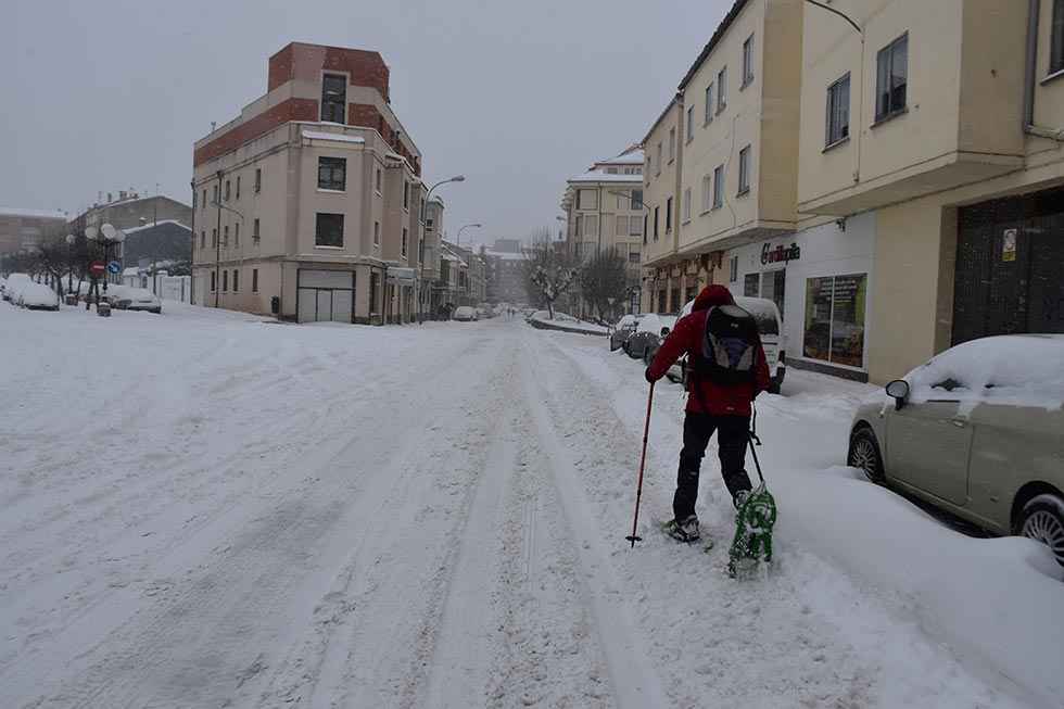 Un año de "Filomena" en Soria - fotos