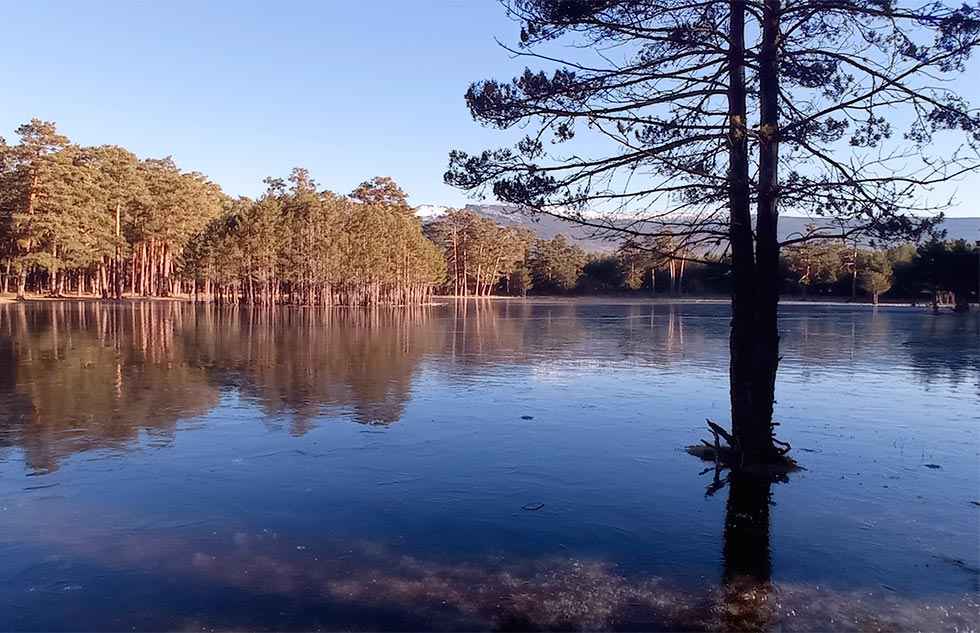La provincia se congela