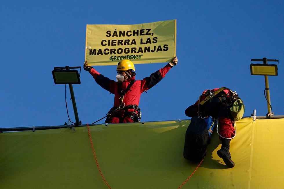 Greenpeace lleva las macrogranjas a Madrid