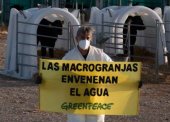 Greenpeace: lo mejor y lo peor de 2021