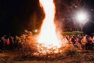 Pedrajas celebra su luminaria