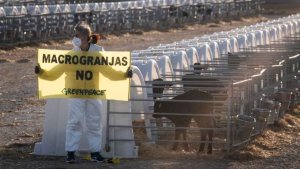 Valle de Odieta promueve acto de conciliación "por injurías"