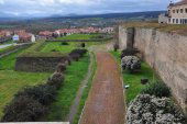 Persona fallecida en foso de muralla de Ciudad Rodrigo Persona fallecida en foso de muralla de Ciudad Rodrigo