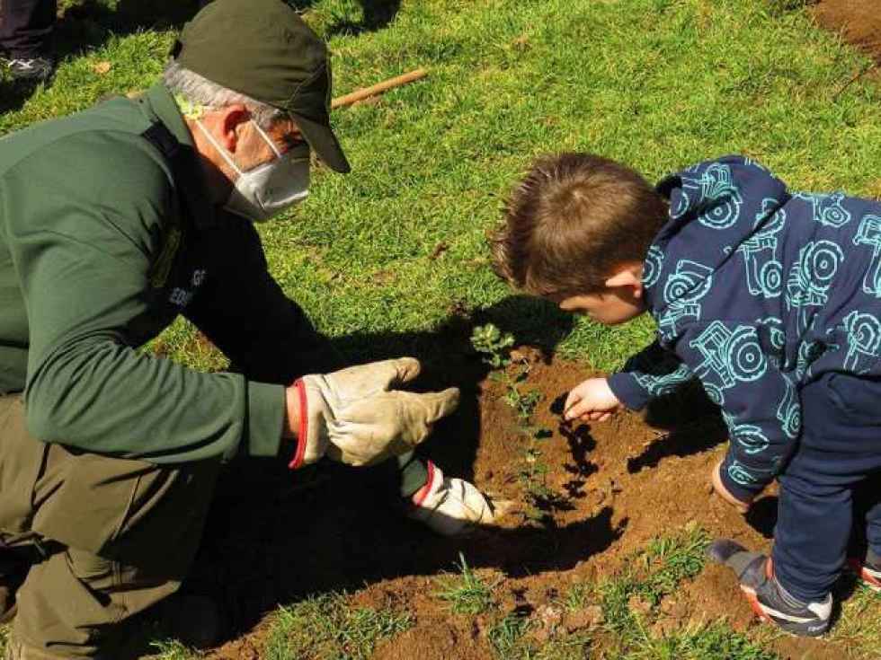 Plantación de árboles en el Aula del Bosque