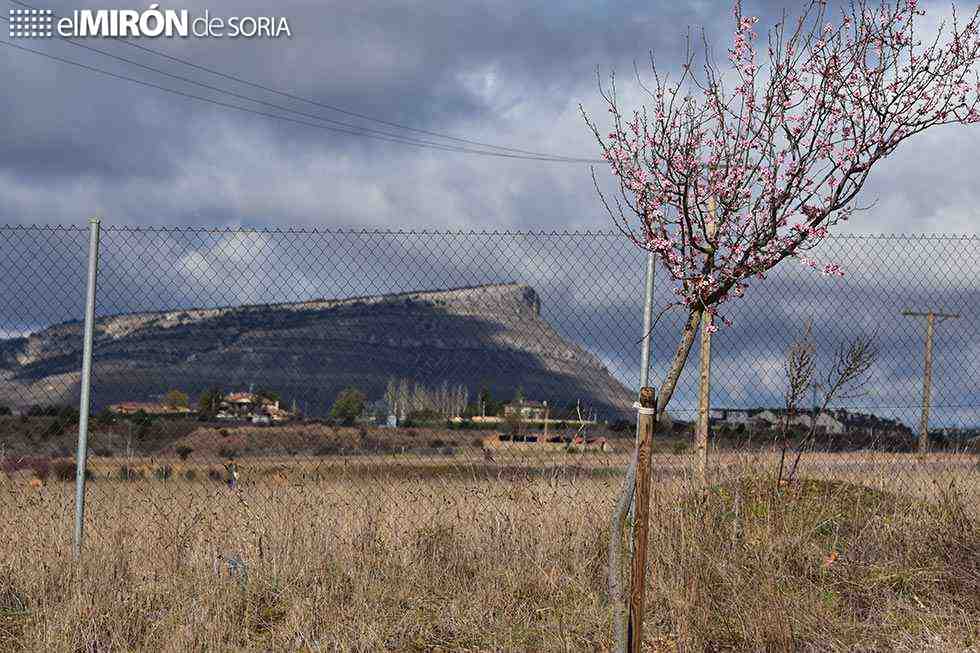 El segundo invierno más seco desde 1961