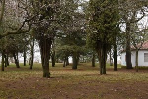 TRIBUNA/ El cerro del Castillo