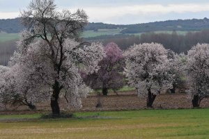 TRIBUNA / Hagamos a Soria grande de nuevo?