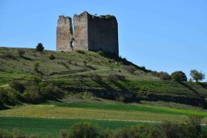 Cabrejas del Pinar organiza I Subida al Castillo