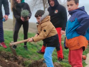 Borobia organiza plantación de árboles