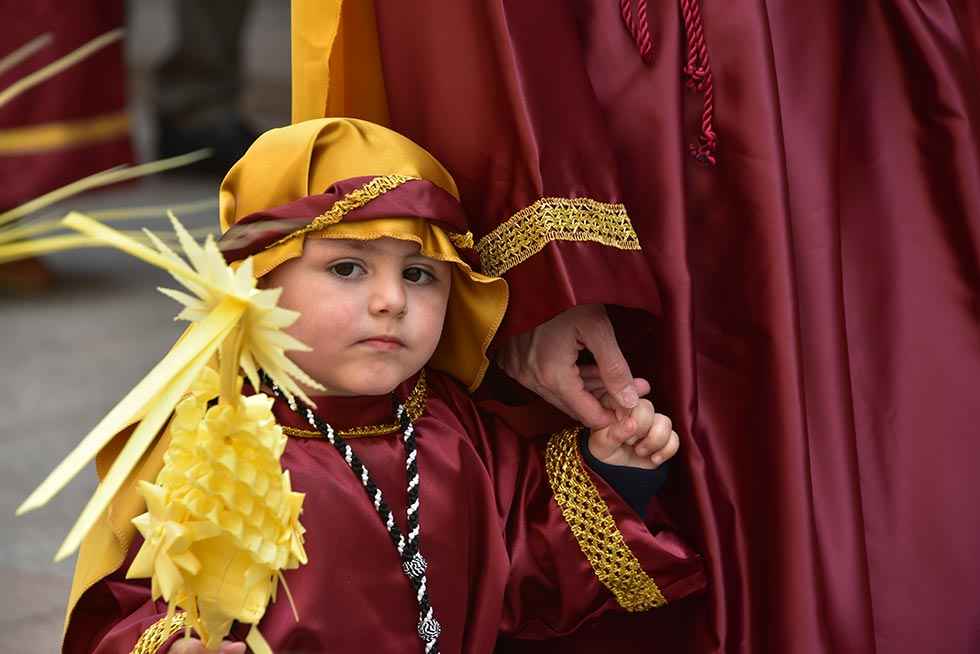 Domingo de Ramos en El Burgo de Osma - fotos