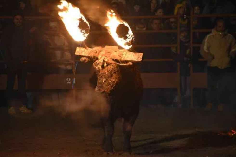 Asociación animalista pide reciclar el Toro Jubilo