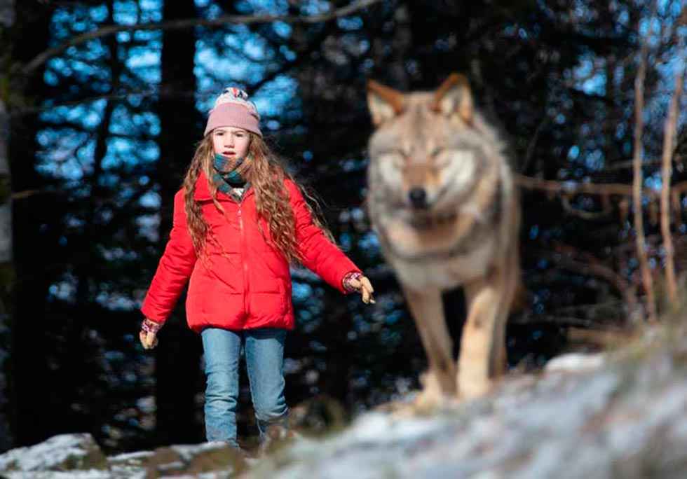 Tres nuevos estrenos en Cines Lara Tres nuevos estrenos en Cines Lara