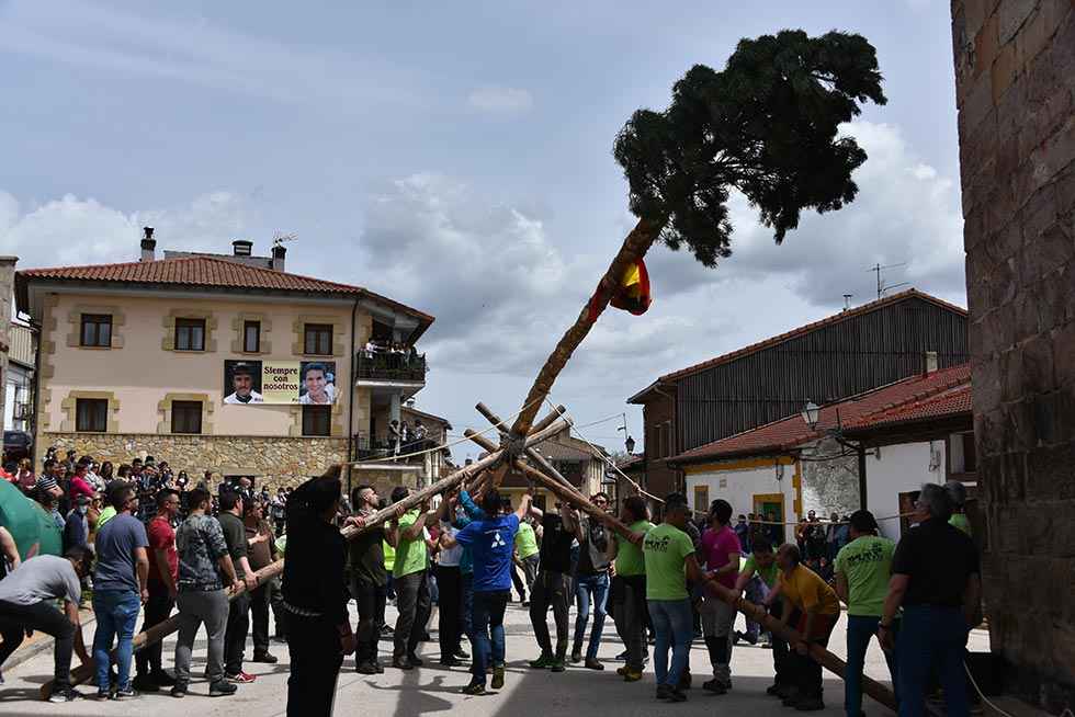 Cabrejas del Pinar pinga el Mayo - fotos