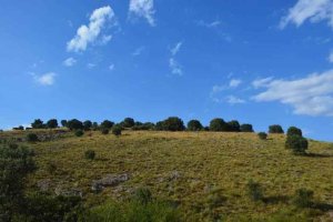 TRIBUNA / Y si son tierras raras las del Cerro de los Moros