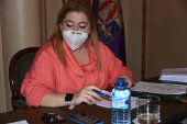 Diputación celebra pleno ordinario Diputación celebra pleno ordinario