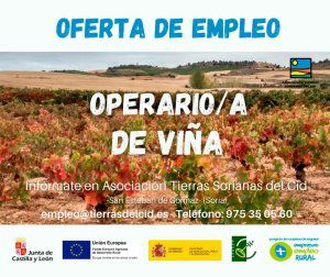 Oferta de empleo de operario de viña