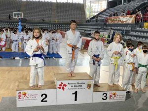 Cinco medallas de judokas sorianos en Palencia