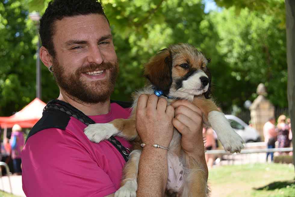 Así fue la II Feria de Mascotas en Soria - fotos