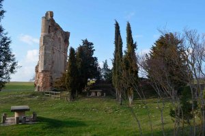 Tres exposiciones sobre patrimonio cultural