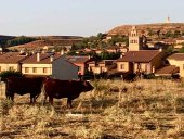 La España Medio Llena da voz a niciativas de éxito 