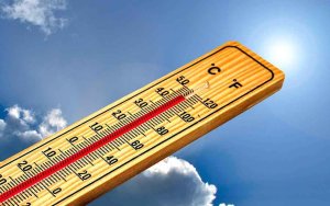 Decálogo de Sanidad para combatir el calor
